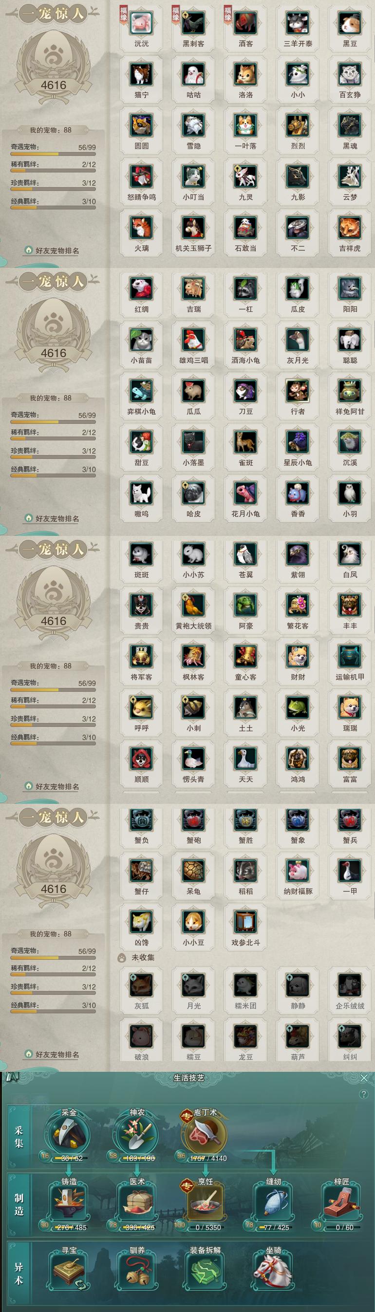 12-宠物生活技能.jpg