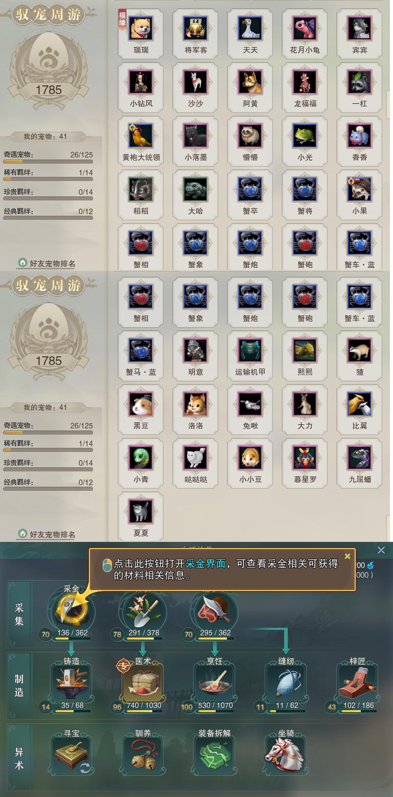 12-宠物生活技能.jpg